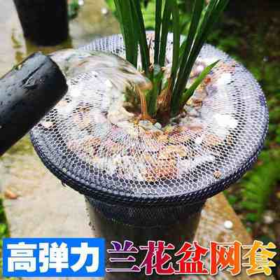 邮锭纱.兰网套线套套兰花盆网套网套防护网弹尼高花盆I21纱网新包