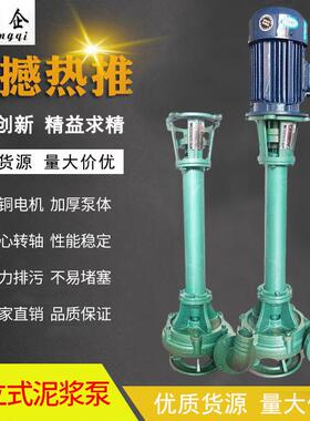 厂家直销NL立式泥浆泵抽泥沙鱼塘切割型排污泵NL100-10-4KW-4寸