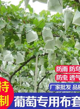 无纺布葡萄套装水果无纺布包装袋