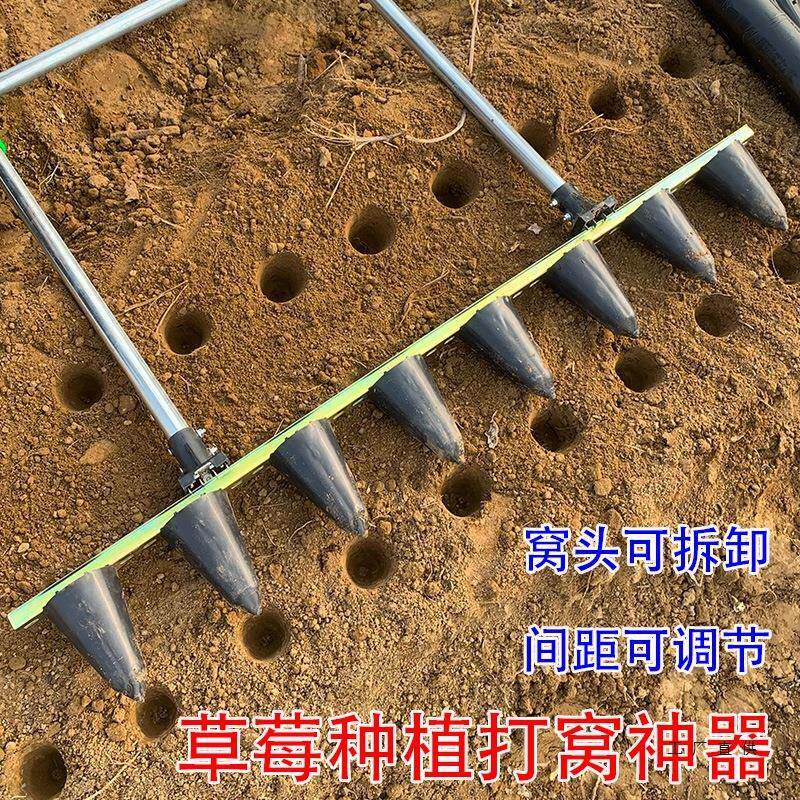 栽草莓苗打孔器农用打眼土壤打圆孔打洞工具秧苗栽种种植