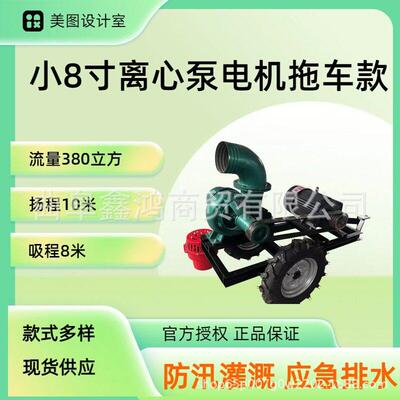 8寸离心泵大流量排灌抗旱防涝工程防汛农田灌溉