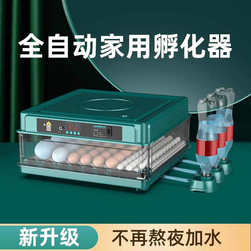 博实孵化器小型家用全自动智能孵化机鹦鹉鸡鸭孵蛋器迷你孵化箱