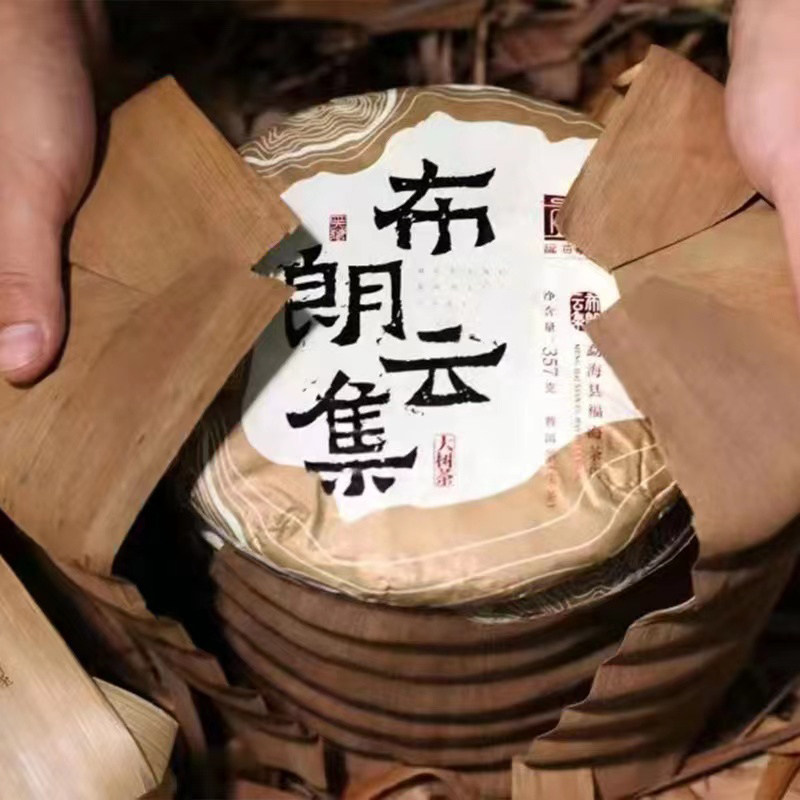 【整提/7片】福海茶厂2021年布朗云集普洱茶普洱生茶357克/饼