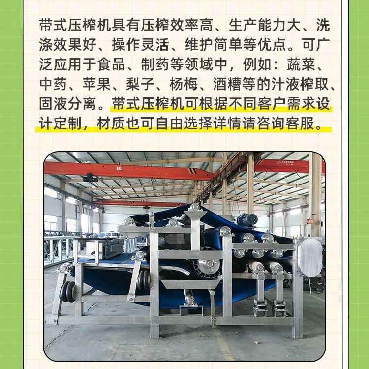 大型生姜榨汁机 生姜小黄姜破碎压榨机 工厂榨姜汁机器