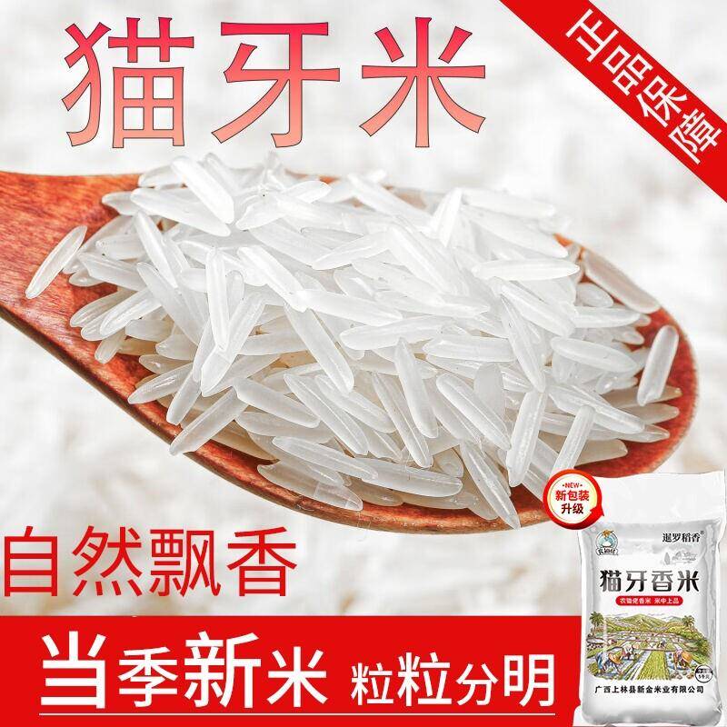 新疆包邮大米10斤南方上林猫牙米年当季新米长粒香米油粘大米10kg