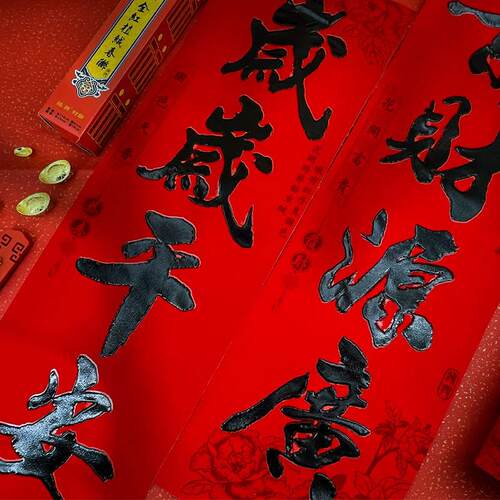 新年高端丝绒对联2025年新年春节蛇春联成群结队新家新年门对联装