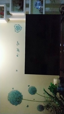 来比下电视TCL55T6M和海信55E52D哪个好，优缺点区别是？