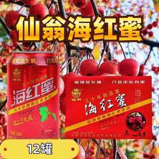 海红蜜河曲特产仙翁海红蜜小时候的味道果汁型碳酸饮料310ml*12罐