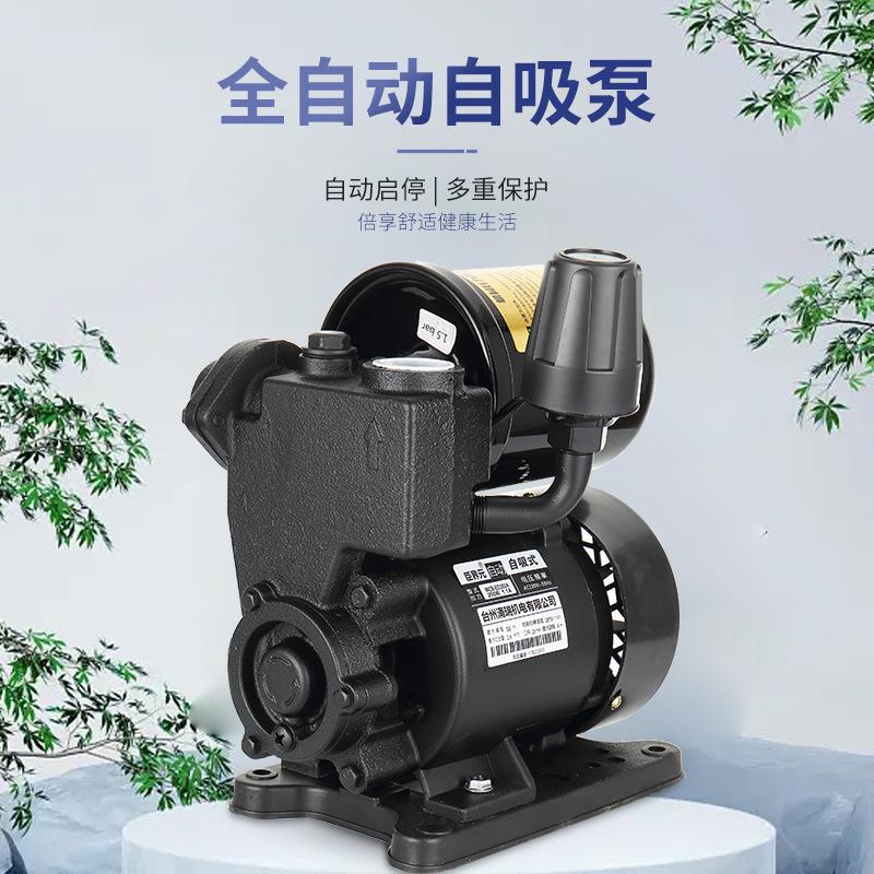 新款直销家用小型220V全自动自吸泵冷热水管道自来水增压泵热水器