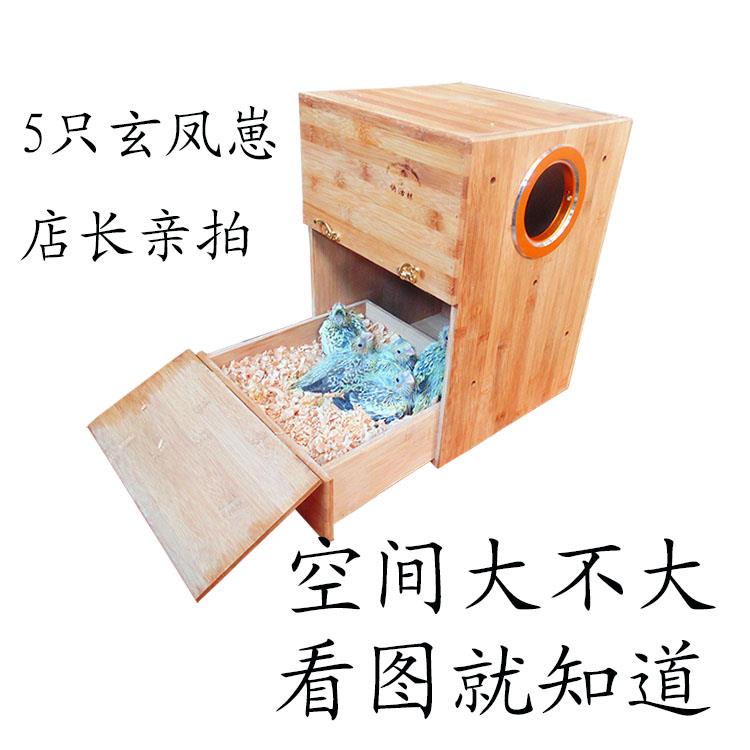 鹦 鹉繁殖箱抽屉式鸟窝玄 凤 尚和 阳太金孵化箱竖式实木竹子