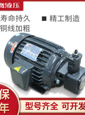 油泵电机组VP20叶片泵总成液压站专用配件0.75-1.5kw内轴380v三相