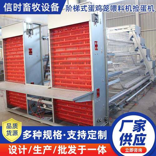 A型阶梯式自动捡蛋机鸡舍鸡场层叠蛋鸡笼蛋鸡自动化养殖设备厂家
