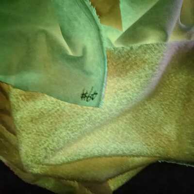 夜光大珍珠绒49夜光边纶夜光水晶超柔夜光布特色变色荧光厂家现货