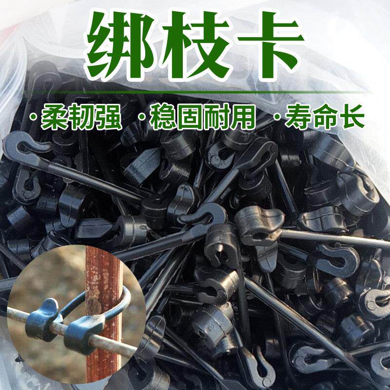 葡萄绑枝卡猕猴桃绑蔓卡子 塑钢线西红柿番茄藤扣子扎丝挂钩套袋
