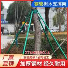 镀锌钢管树木支撑架绿化支撑杆大树防风树支撑园林绿化支架固定器