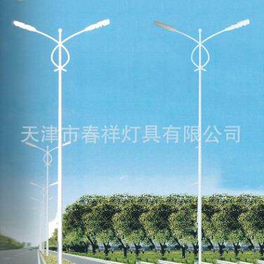 天津春祥灯具12米多种规格户外道路双臂灯杆路灯杆