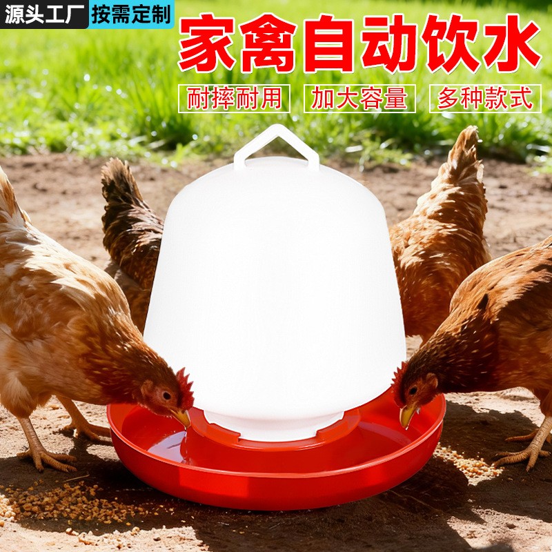 鸡喝水壶喝水器鸭鹅鸡鸽子雏鸡自动饮水器养鸡场用品鸡鸭鹅喂水槽