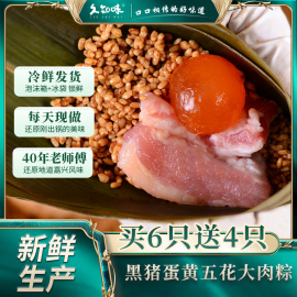 久知味嘉兴粽子粽蛋黄肉，粽子现做现发黑猪五花大肉粽冷链锁鲜