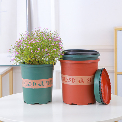 花盆花盆塑料塑料绿萝月季花瓶