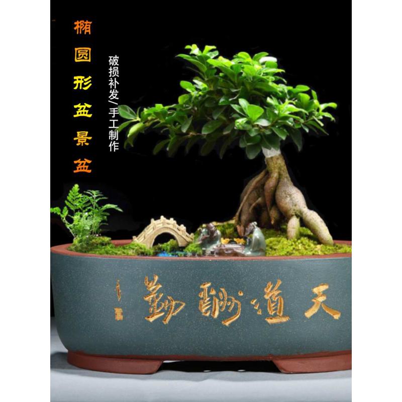 紫砂花盆长方椭圆形盆景盆中国风宜兴简约绿植大号陶瓷老桩种花