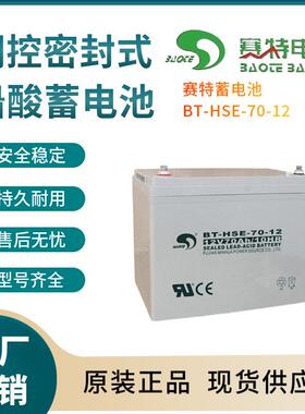 赛特蓄电池BT-HSE-70-1212V70AH通信电源安防系统信号系统