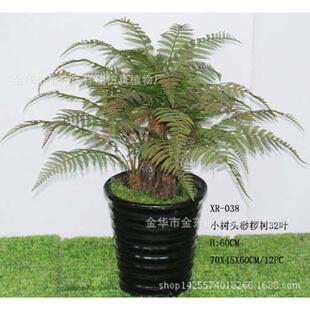 蕨类叶树落地盆景树叶棕榈科仿真批发室内外植物绿植厂家桫椤假