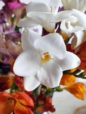 很关注ALL-JOINTT98-321保温杯怎么样，全面解析真实情况如何？