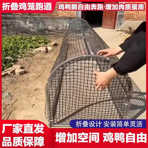 跑道鸡笼管道笼管道折叠款走地养鸡笼子农家散养鸡家用散养殖家禽