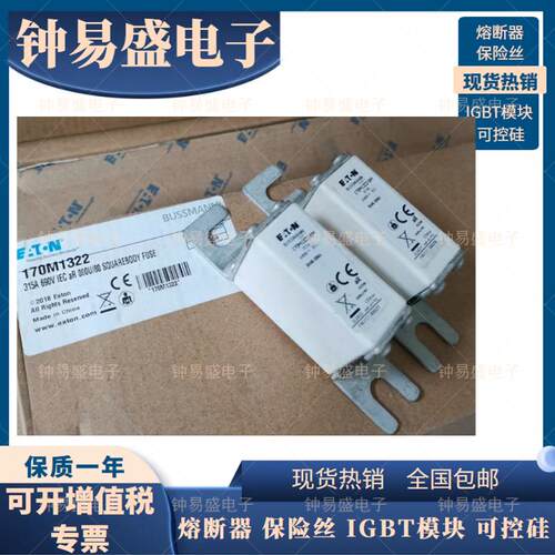 Bussmann伊顿熔断器170M1321-BM 250A 170M1322-BM 315A 690V