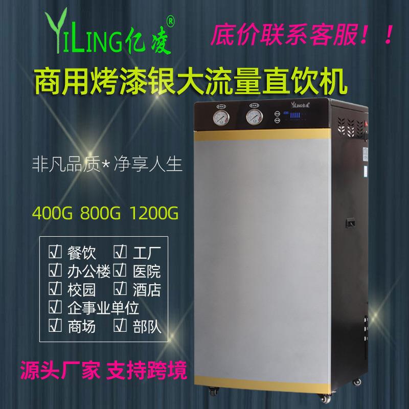 净水机商业用机大流量ro反渗透800纯水机烤漆银饭店厂商用净水器