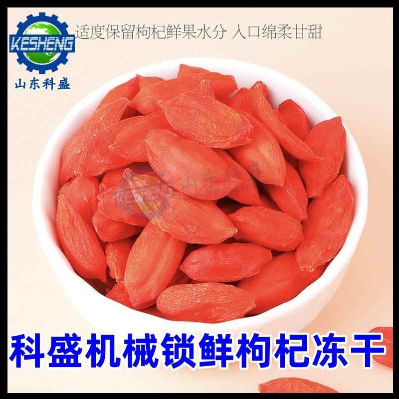 枸杞锁鲜冻干机黑蒜FD真空冻干机松茸花茶低温脱水冻干设备