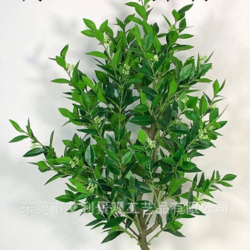 月桂树盆栽桂花叶幸福榕树客厅卧室装饰绿植假树盆景图片