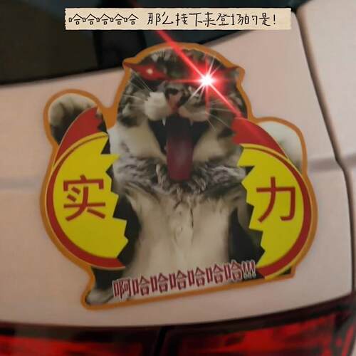 哈基米猫meme实习车贴磁吸装饰贴搞笑整蛊车身后备箱防水反光贴纸