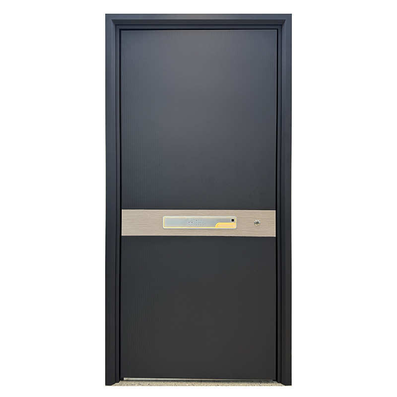 入户门甲级门单开现货进防盗门户子母门门别墅小区大门家用锌合金