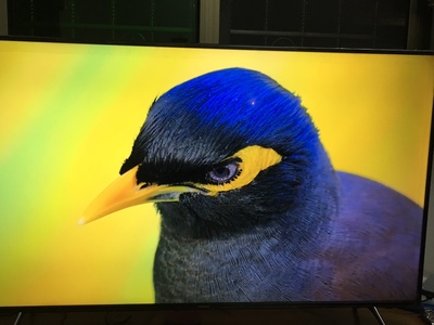 讲讲看三星电视质量怎么样？体验三周彻底后悔了是吗