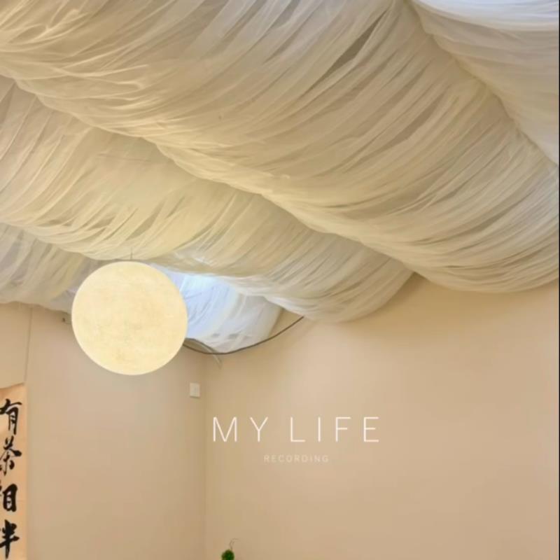 装饰天花板纱幔防尘悬吊式天花板美容院咖啡厅民宿卧室阳光棚顶遮