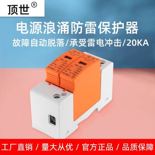 工厂直销浪涌保护器2P20KA 电涌保护器电箱电源防雷模块DS-20