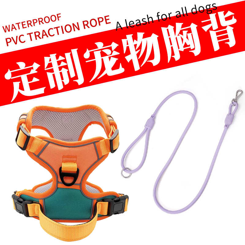 logo狗狗胸中大型犬狗遛狗背小通用金毛牵引绳绳子定制宠物宠物链