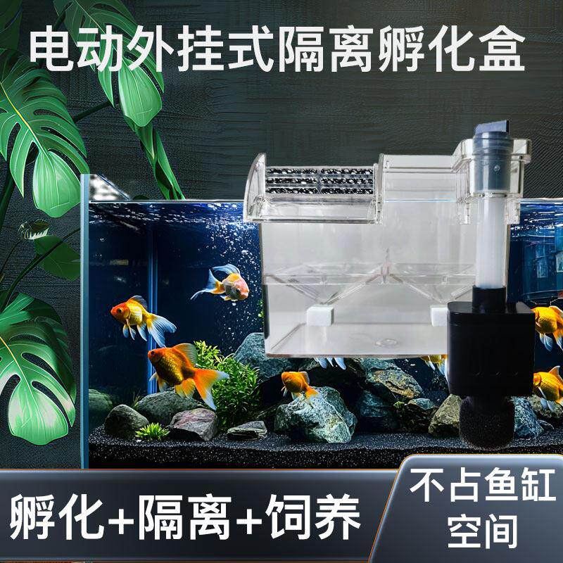 鱼缸孵化盒隔离盒孵化器藻盒斗鱼盒电动带水泵缸外繁殖盒生小鱼
