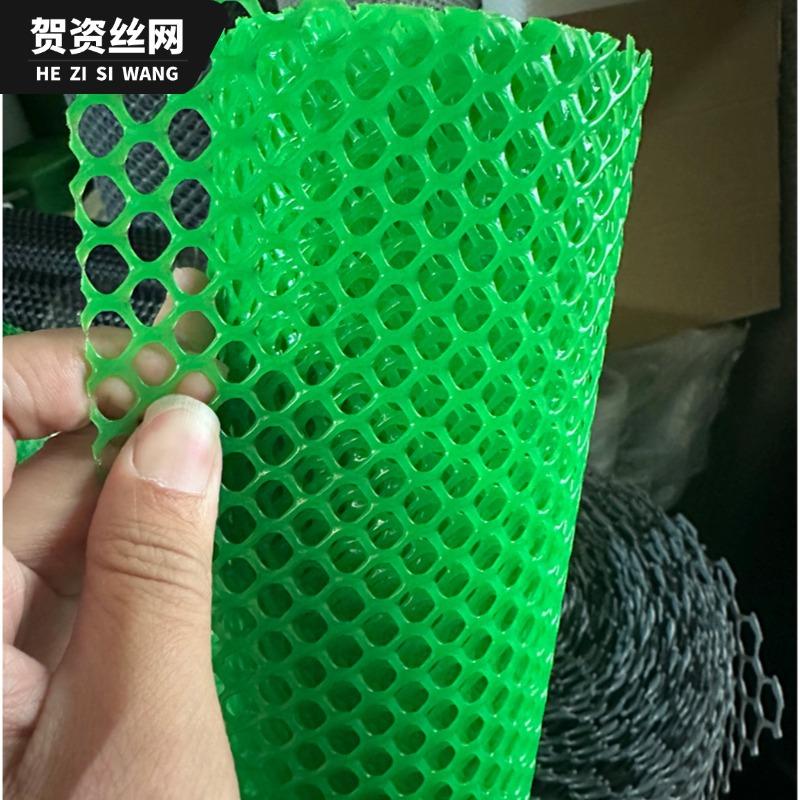 隔离网绿色塑料养殖防护养鸡网