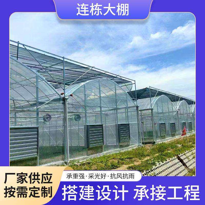 外遮阳连栋大棚温室连体大棚葡萄西瓜蔬菜瓜果种植棚热镀锌骨架