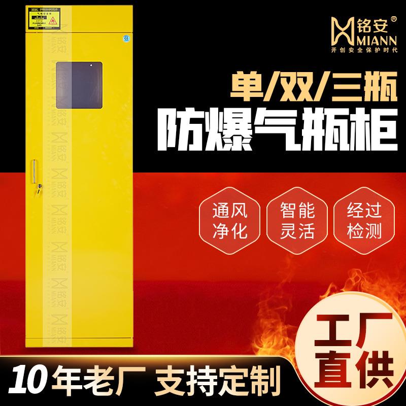 全钢防爆气瓶柜氧气乙炔钢瓶储存柜实验室气体双瓶煤气罐存放
