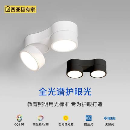 明装筒灯散光led天花灯双头斗胆灯可调角度射灯免开孔无主灯照明
