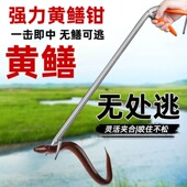 加厚不锈钢黄鳝夹子鳝鱼夹泥鳅螃蟹钳子防滑抓捉龙虾专用赶海工具