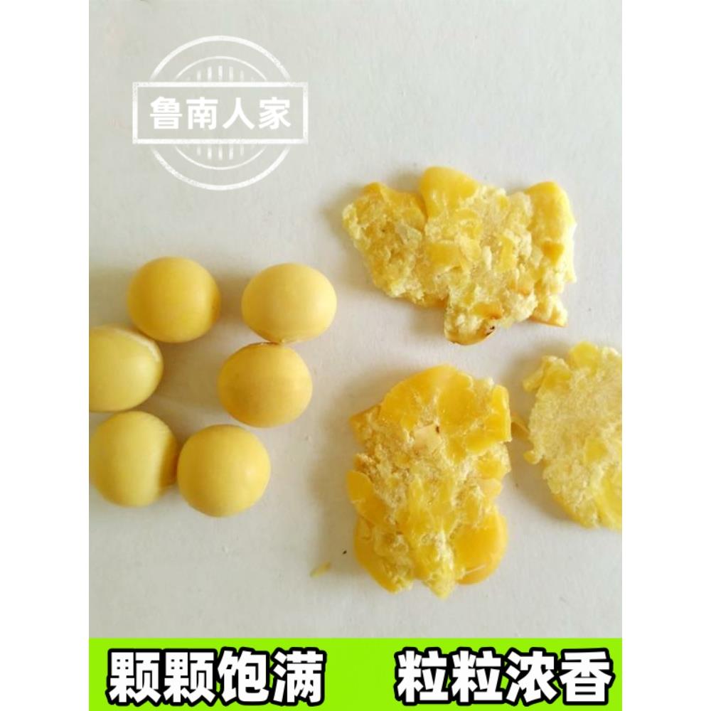 现货山东特产豆钱子黄豆扁黄豆钱当年优质黄豆手工石碾农家杂粮粥