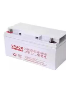 USAOK科星蓄电池UD12V7A17A24A38A65A100A120A150A200AH直流屏UPS