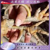 新款 鸡爪骨头文玩鸡爪骨手把件盘玩冷门文玩鸡蹬骨鸡拐骨青鱼石吊
