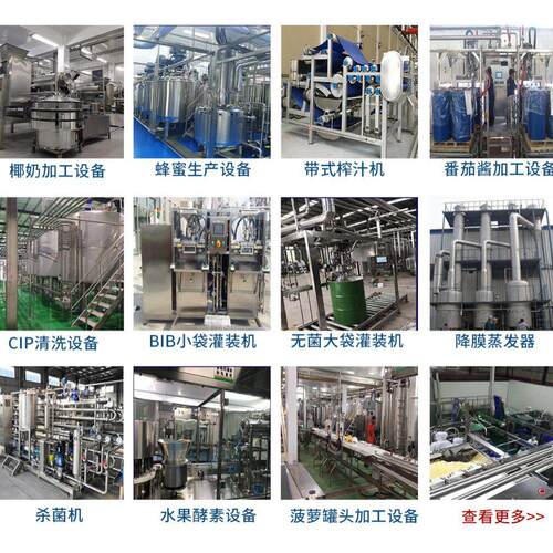 鳄梨牛油果泥果酱果油提取加工生产线设备机械