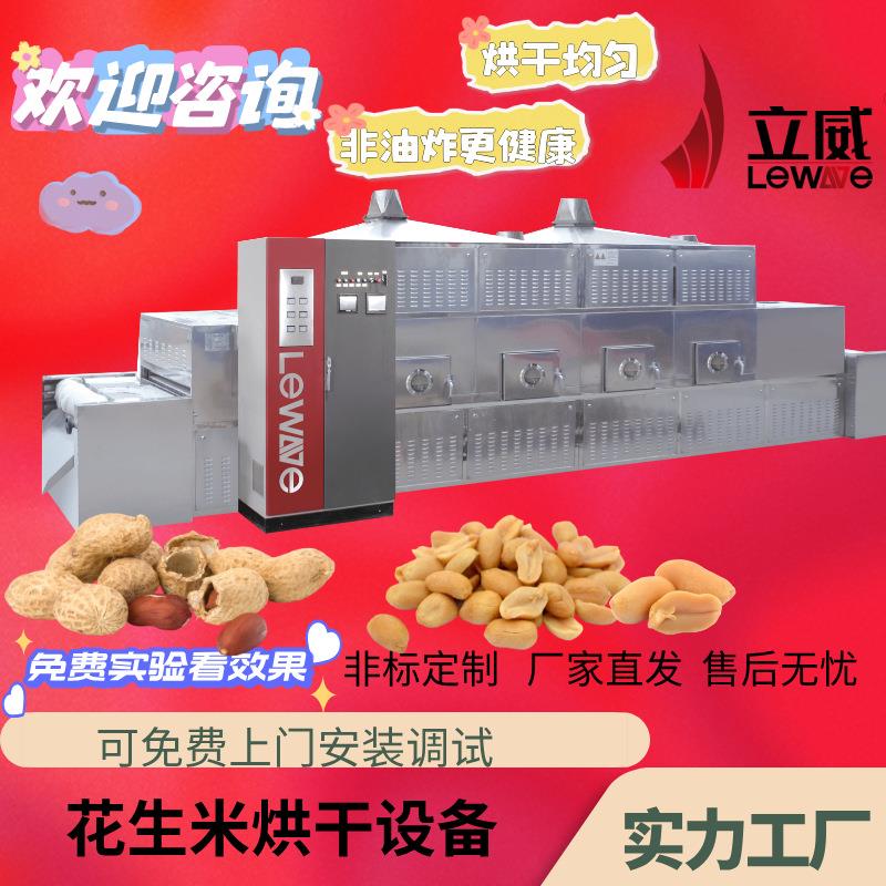 专业隧道式微波烘干机肉松大豆花生五谷杂粮烘干熟化设备