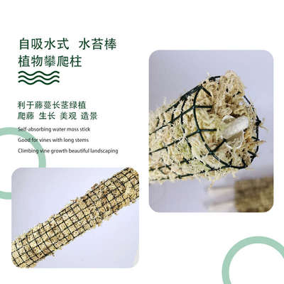 水苔柱植物攀爬支撑水苔杆秋海棠绿萝苔藓棒白锦龟背竹海芋水苔盒